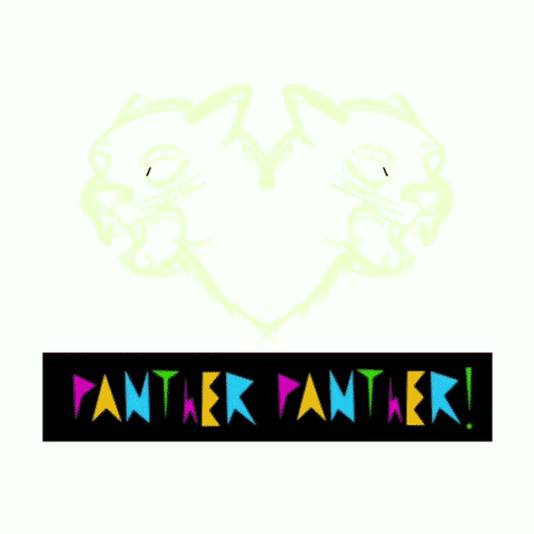 panther-video